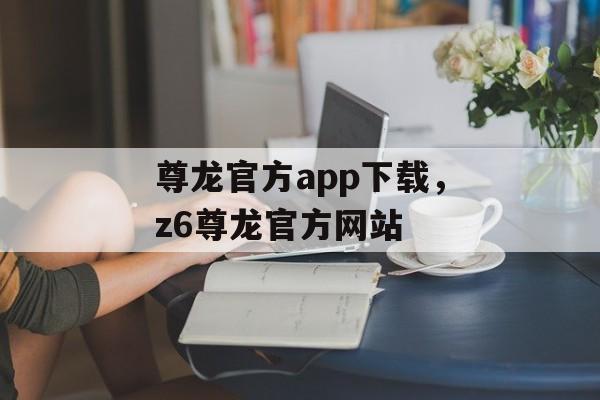 尊龙官方app下载，z6尊龙官方网站